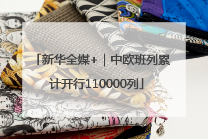 新华全媒+｜中欧班列累计开行110000列