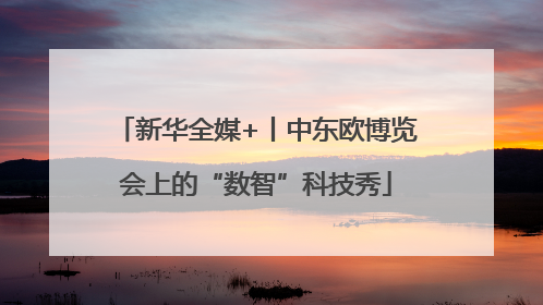 新华全媒+丨中东欧博览会上的“数智”科技秀