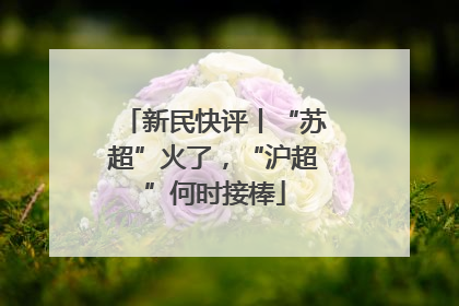 新民快评丨“苏超”火了，“沪超”何时接棒