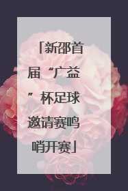 新邵首届“广益”杯足球邀请赛鸣哨开赛
