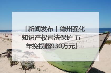 新闻发布丨德州强化知识产权司法保护 五年挽损超930万元