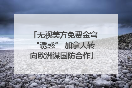 无视美方免费金穹“诱惑” 加拿大转向欧洲谋国防合作