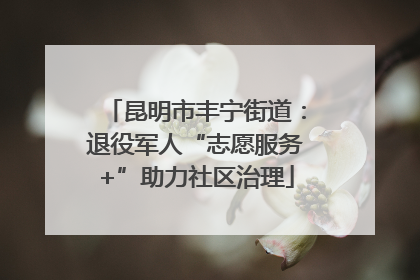 昆明市丰宁街道：退役军人“志愿服务+”助力社区治理
