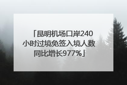 昆明机场口岸240小时过境免签入境人数同比增长977%