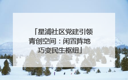 星浦社区党建引领青创空间：闲置阵地巧变民生枢纽