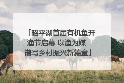 昭平湖首届有机鱼开渔节启幕 以渔为媒 谱写乡村振兴新篇章