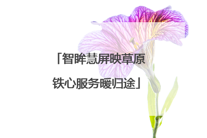 智眸慧屏映草原 铁心服务暖归途