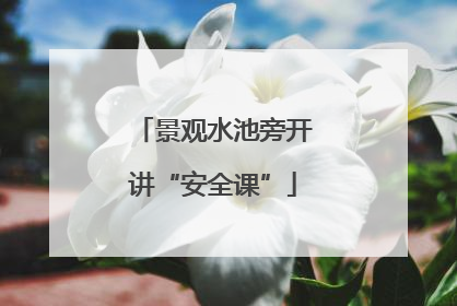 景观水池旁开讲“安全课”