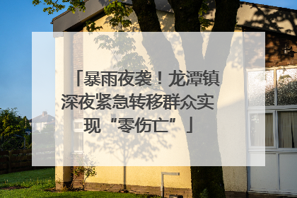 暴雨夜袭！龙潭镇深夜紧急转移群众实现“零伤亡”
