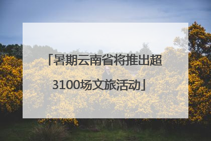 暑期云南省将推出超3100场文旅活动