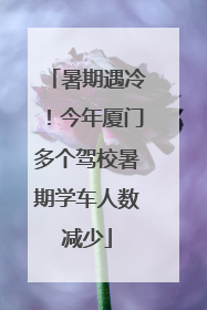 暑期遇冷！今年厦门多个驾校暑期学车人数减少
