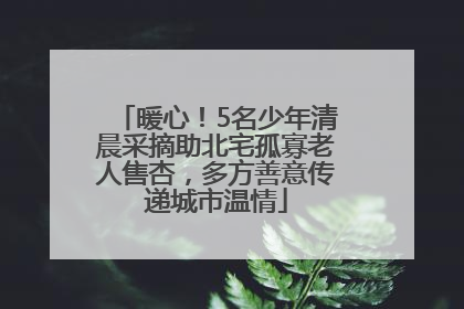 暖心！5名少年清晨采摘助北宅孤寡老人售杏，多方善意传递城市温情