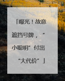 曝光！故意遮挡号牌，“小聪明”付出“大代价”