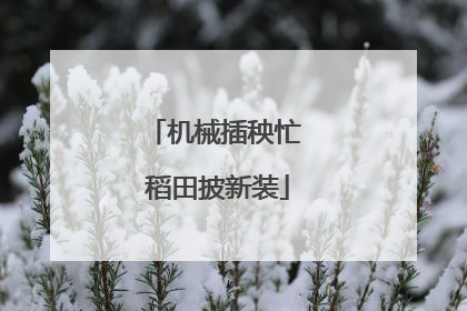 机械插秧忙 稻田披新装