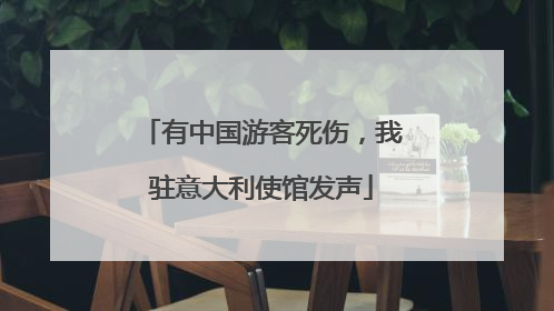 有中国游客死伤，我驻意大利使馆发声