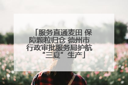 服务直通麦田 保障颗粒归仓 德州市行政审批服务局护航“三夏”生产