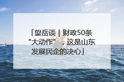 望岳谈｜财政50条“大动作”，这是山东发展民企的决心