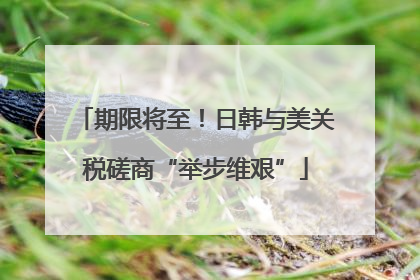 期限将至！日韩与美关税磋商“举步维艰”