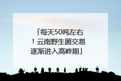 每天50吨左右！云南野生菌交易逐渐进入高峰期
