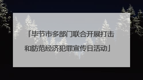 毕节市多部门联合开展打击和防范经济犯罪宣传日活动
