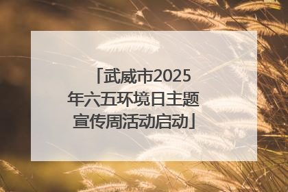 武威市2025年六五环境日主题宣传周活动启动