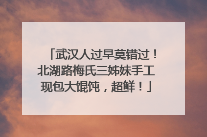武汉人过早莫错过！北湖路梅氏三姊妹手工现包大馄饨，超鲜！