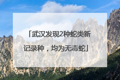 武汉发现2种蛇类新记录种，均为无毒蛇