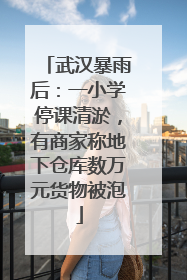 武汉暴雨后：一小学停课清淤，有商家称地下仓库数万元货物被泡