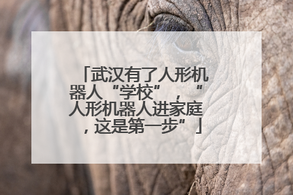 武汉有了人形机器人“学校”，“人形机器人进家庭，这是第一步”