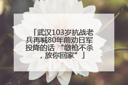武汉103岁抗战老兵再喊80年前劝日军投降的话 “缴枪不杀，放你回家”