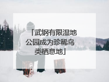 武钢有限湿地公园成为珍稀鸟类栖息地