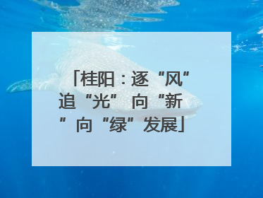 桂阳：逐“风”追“光” 向“新”向“绿”发展