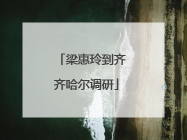 梁惠玲到齐齐哈尔调研