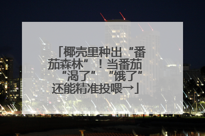 椰壳里种出“番茄森林”！当番茄“渴了”“饿了”还能精准投喂→