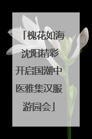 槐花如海 沈阳精彩开启国潮中医雅集汉服游园会