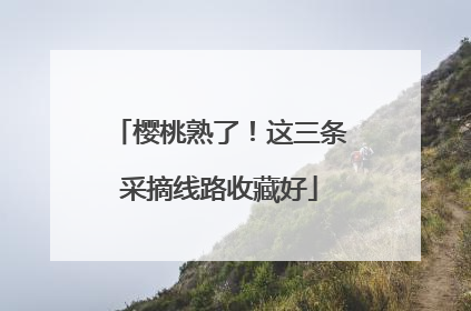 樱桃熟了！这三条采摘线路收藏好