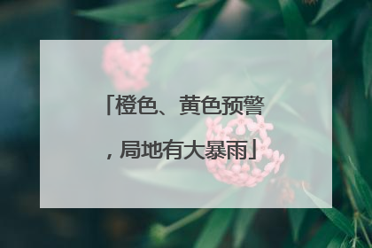 橙色、黄色预警，局地有大暴雨