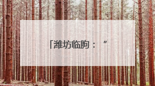 潍坊临朐：“三色沃土”绘彩铺展振兴画卷