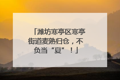 潍坊寒亭区寒亭街道麦熟归仓，不负当“夏”！