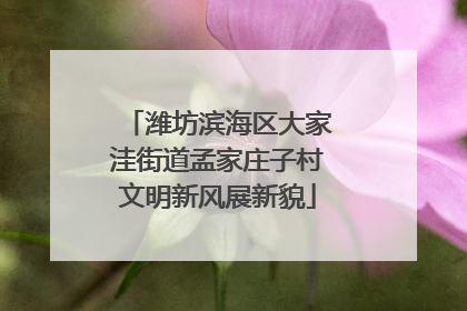 潍坊滨海区大家洼街道孟家庄子村文明新风展新貌