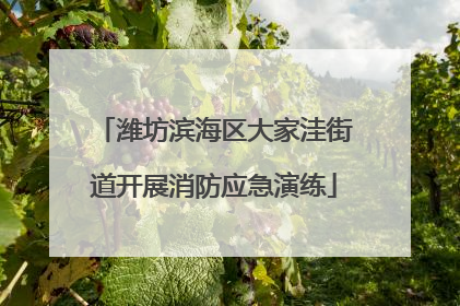 潍坊滨海区大家洼街道开展消防应急演练