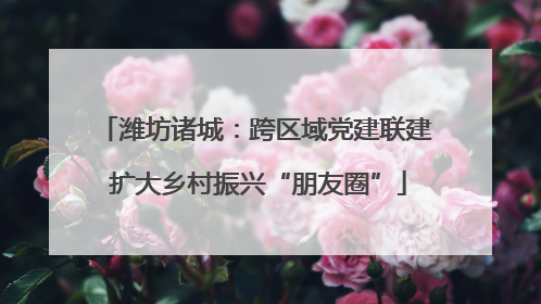 潍坊诸城：跨区域党建联建 扩大乡村振兴“朋友圈”