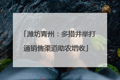 潍坊青州：多措并举打通销售渠道助农增收