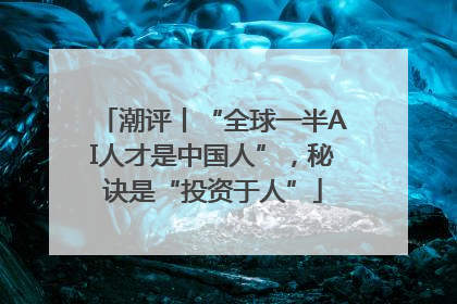 潮评丨“全球一半AI人才是中国人”，秘诀是“投资于人”