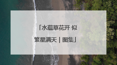 水蕴草花开 似繁星满天｜图集