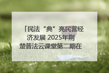 民法“典”亮民营经济发展 2025年荆楚普法云课堂第二期在武汉客厅开讲