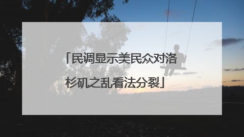 民调显示美民众对洛杉矶之乱看法分裂