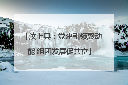 汶上县：党建引领聚动能 组团发展促共富