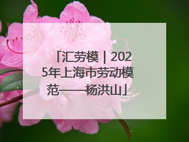 汇劳模｜2025年上海市劳动模范——杨洪山
