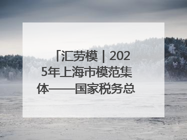 汇劳模｜2025年上海市模范集体——国家税务总局上海市徐汇区税务局第一税务所